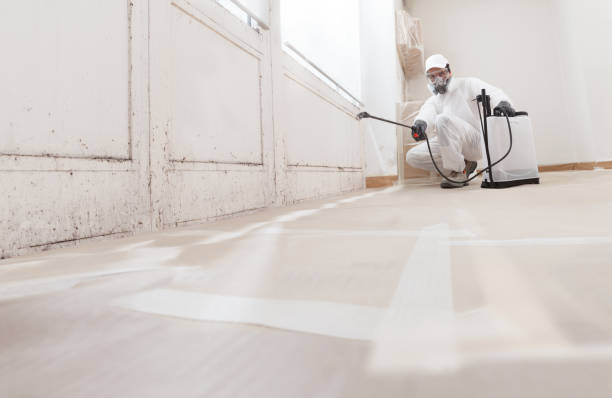 24/7 Emergency Mold Remediation experts in Whitakers, NC